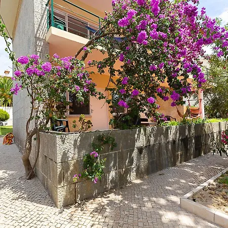 Oceans House * Parede